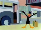 Hollywood Daffy