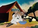 Birdy And The Beast