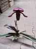 IMG20250124173644