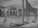 Whos Who In The Zoo