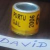 2006-Portugalia