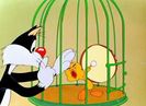 Tweetie Pie