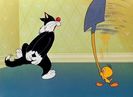 Tweetie Pie