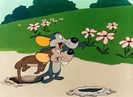 House Hunting Mice