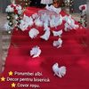 Porumbei albi, decor Mehedinți