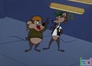 Mice Follies