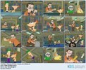 11525551_LTFPHOSNB