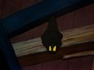 The Brave Little Bat