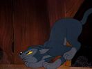 The Brave Little Bat