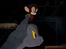 The Brave Little Bat