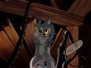 The Brave Little Bat