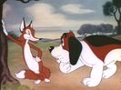 Of Fox And Hounds