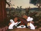 Of Fox And Hounds