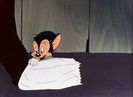 Hush My Mouse