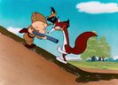 What Makes Daffy Duck