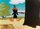 What Makes Daffy Duck