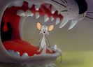 The Fifth Column Mouse