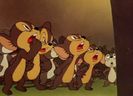 The Fifth Column Mouse