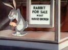 Elmers Pet Rabbit