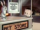Elmers Pet Rabbit