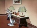 Elmers Pet Rabbit