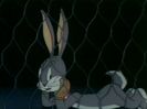Elmers Pet Rabbit