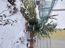 Zăpadă, 17, 18 februarie