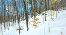 Winter 5 !