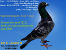 RO 21 1436058 M Pret 150 Lei + transportul