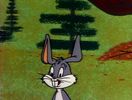 Now Hare This