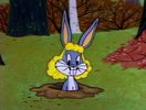 Now Hare This