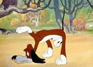 The Heckling Hare