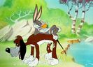 The Heckling Hare