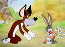 The Heckling Hare