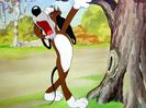 The Heckling Hare