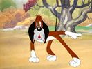 The Heckling Hare