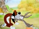 The Heckling Hare