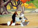 The Heckling Hare