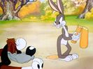 The Heckling Hare