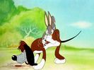 The Heckling Hare
