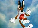 The Heckling Hare