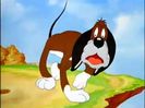 The Heckling Hare
