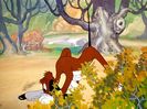 The Heckling Hare