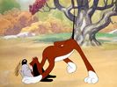 The Heckling Hare