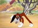 The Heckling Hare