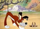 The Heckling Hare