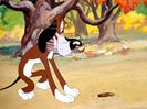 The Heckling Hare