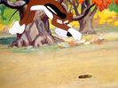 The Heckling Hare
