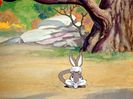 The Heckling Hare