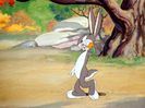 The Heckling Hare